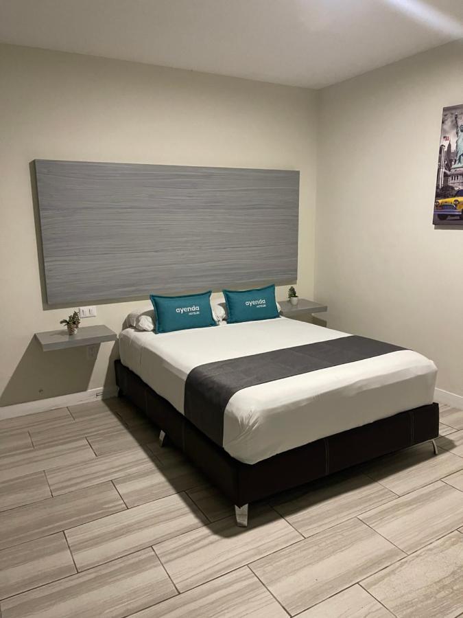 Constanza Loft Aparthotel Zapopan Exterior photo